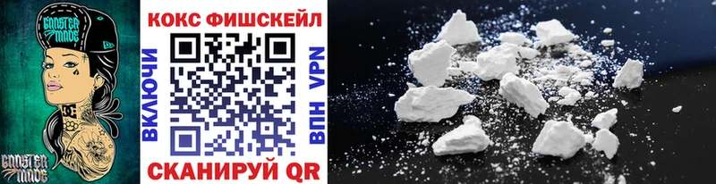 где купить   Торопец  мега маркетплейс  COCAIN FishScale 