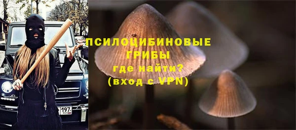 соль ск Осинники
