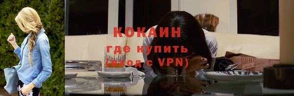 соль ск Осинники