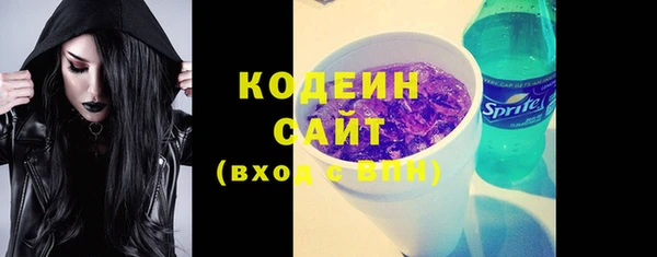 соль ск Осинники