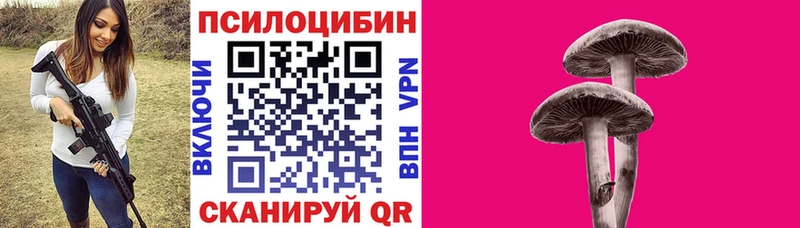 Галлюциногенные грибы мицелий  Торопец 
